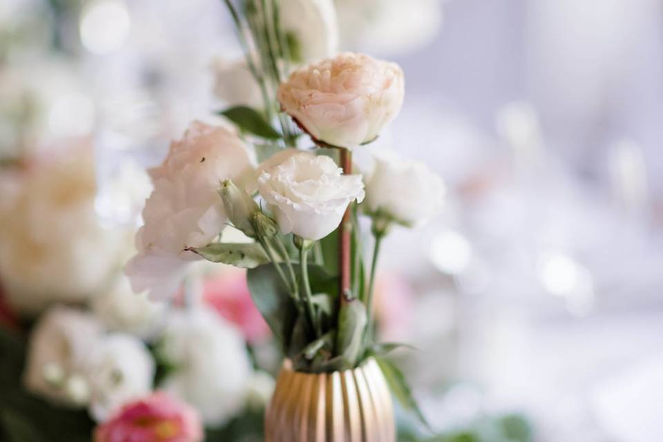 Lisianthus blanc et rose