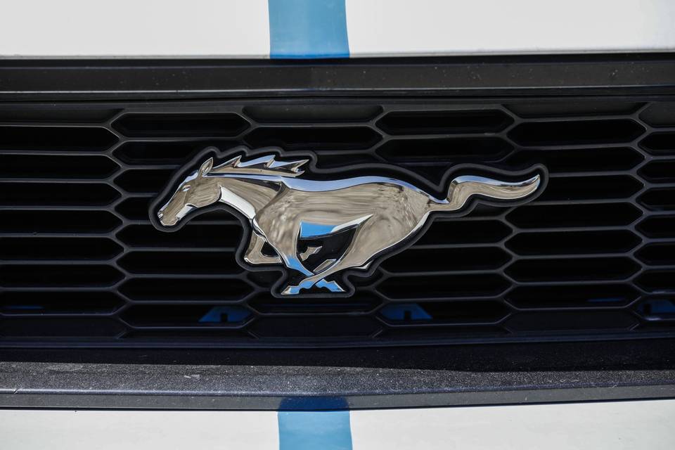 Logo Mustang