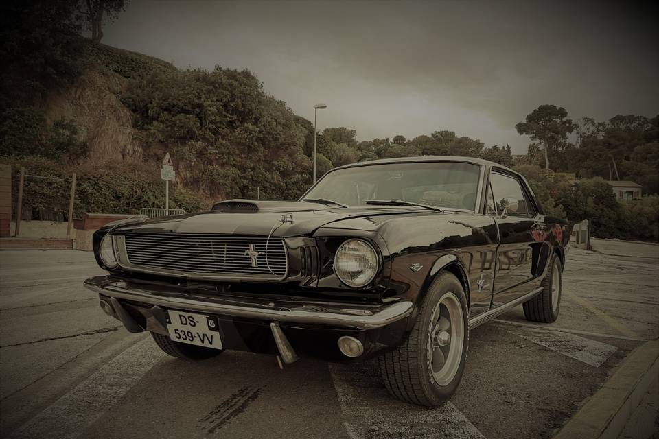 Mustang Vintage