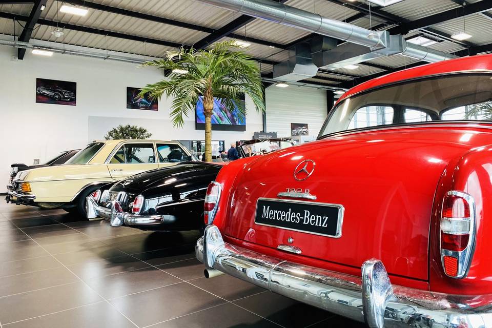 Mercedes-Benz Rent Hamecher-Montauban