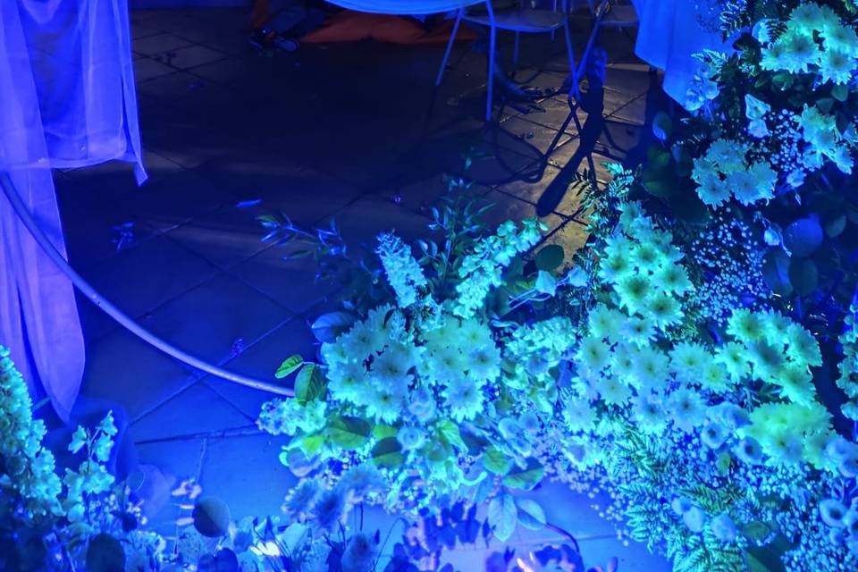 Arche luminescente