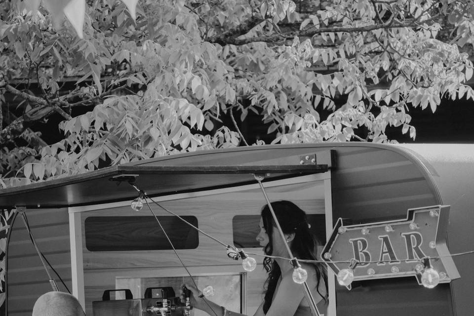 THE LITTLE CARAVANE