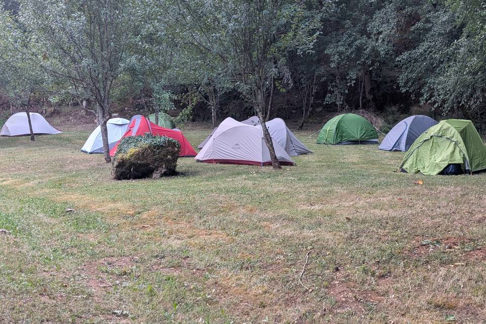 Tentes bienvenues