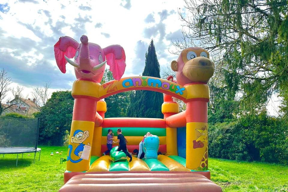Château gonflable - Animaux