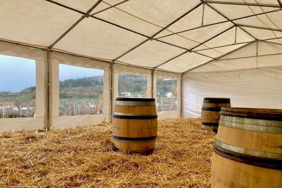 Chapîteau 6x12 - Vignes