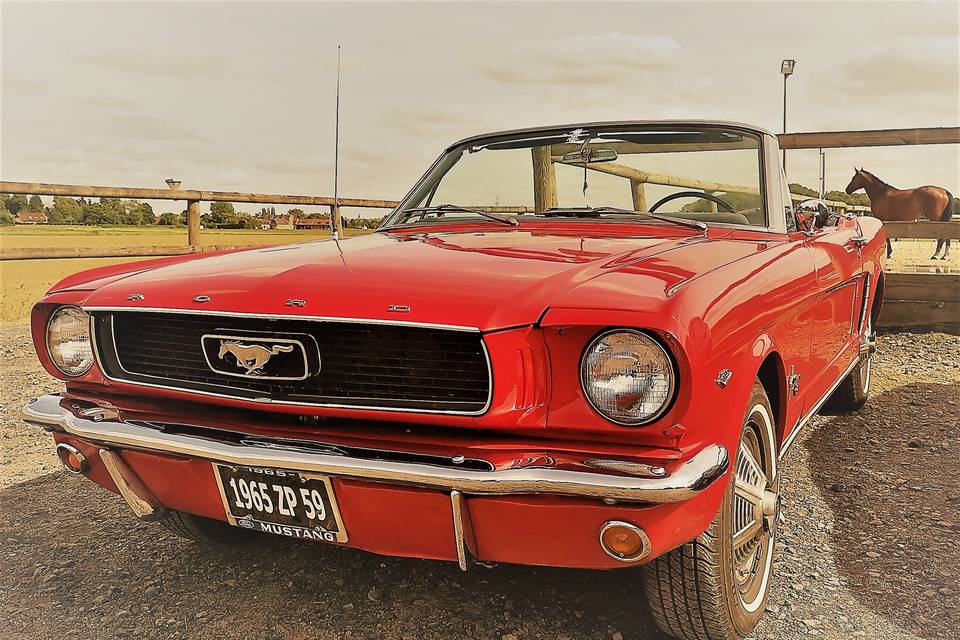 Ford Mustang 1965 cabriolet