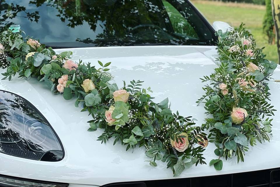 Capot de voiture