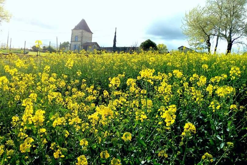 écurie sur place