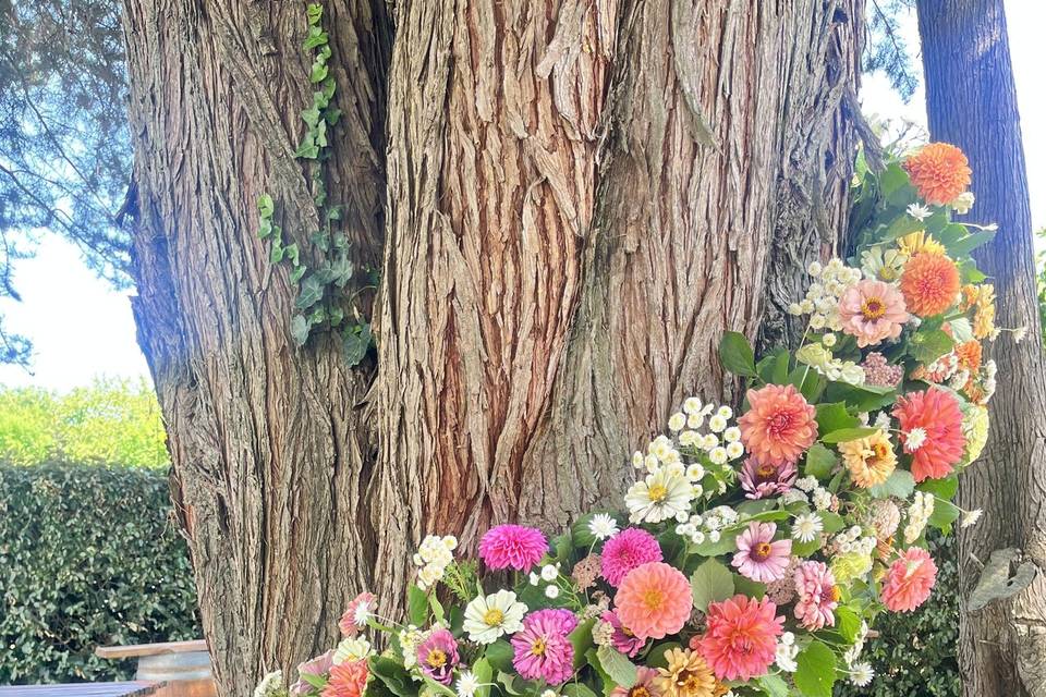 Déco fleurs fraiches sur arbre