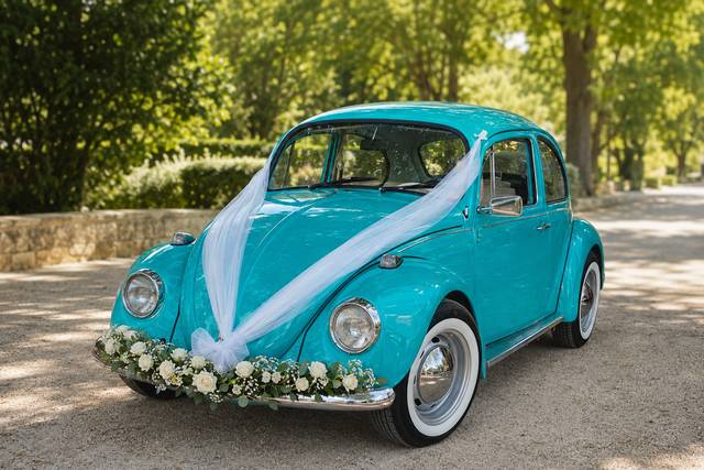 Ladybug30
