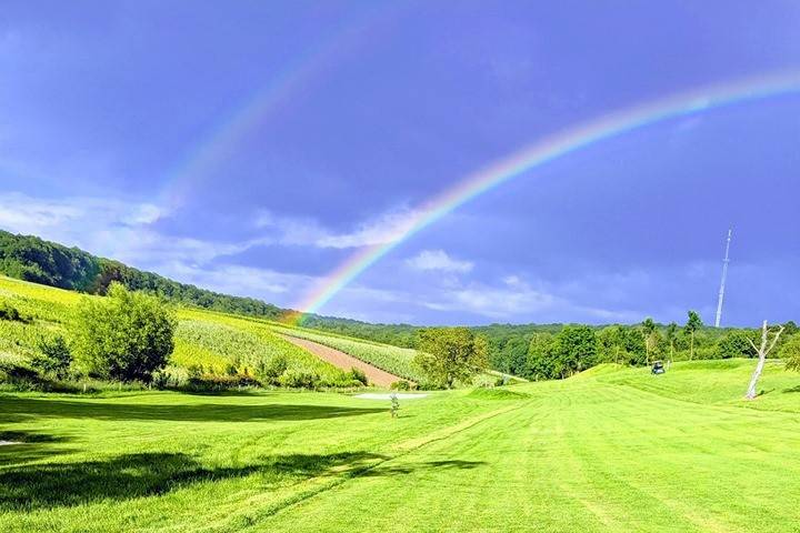 Domaine de Romery en Champagne