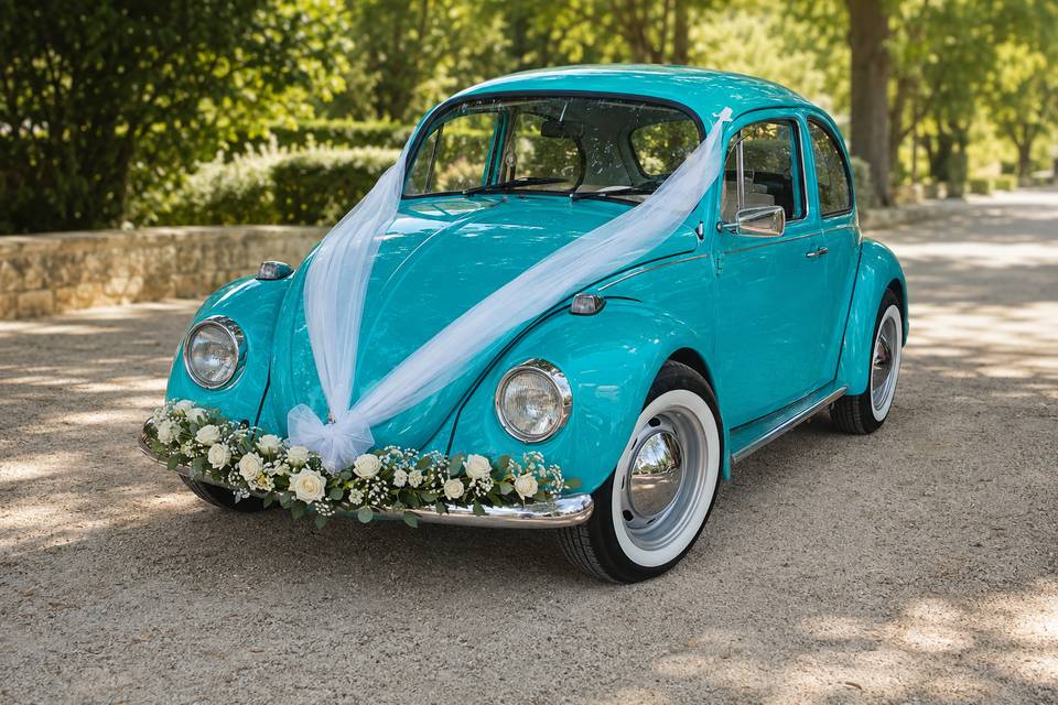 Ladybug30