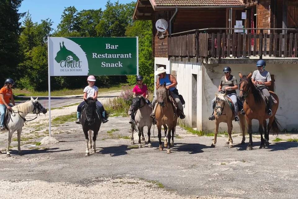 Visiteurs insolites