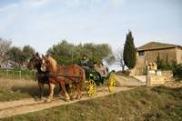 Ballade en calèche