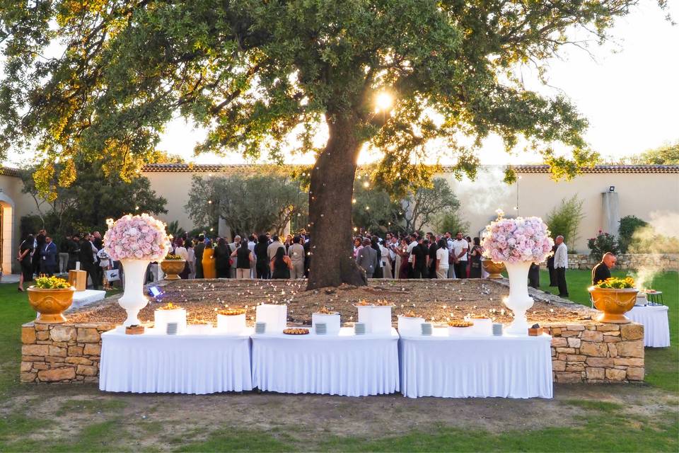 Buffet sous l_arbre