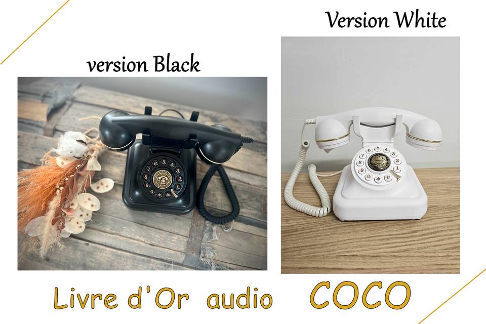 Livre d'Or audio COCO