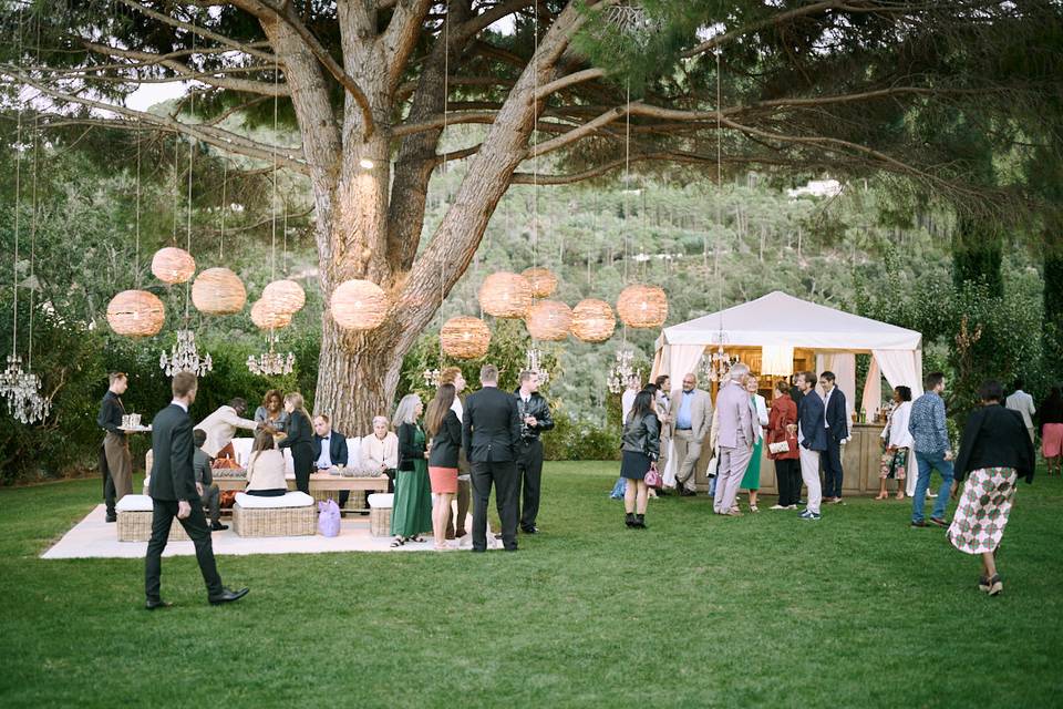 Cocktail dans un jardin