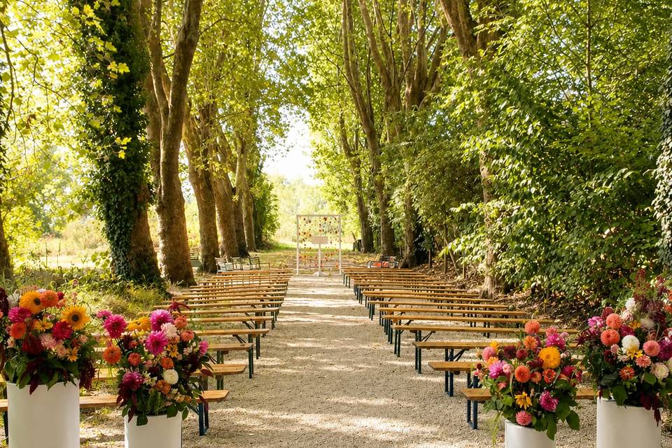 Cérémonie sous les platanes