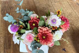 Fleur de Palmier