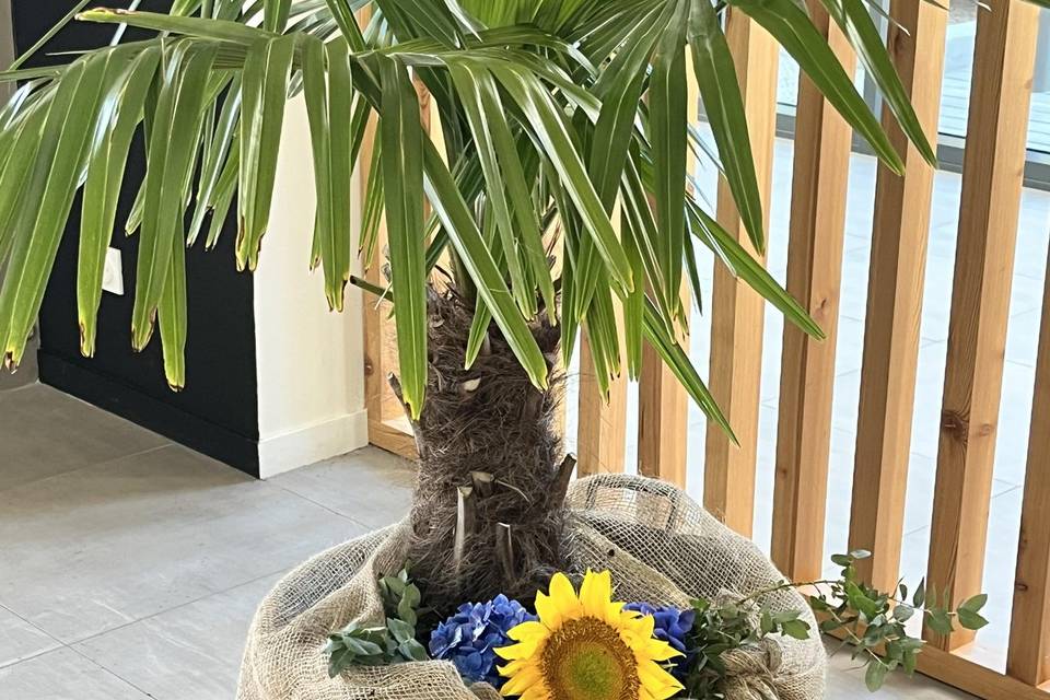 Location de plantes