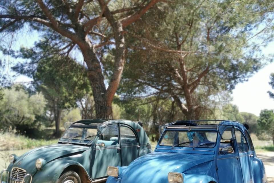 Les 2cv's en vadrouilles