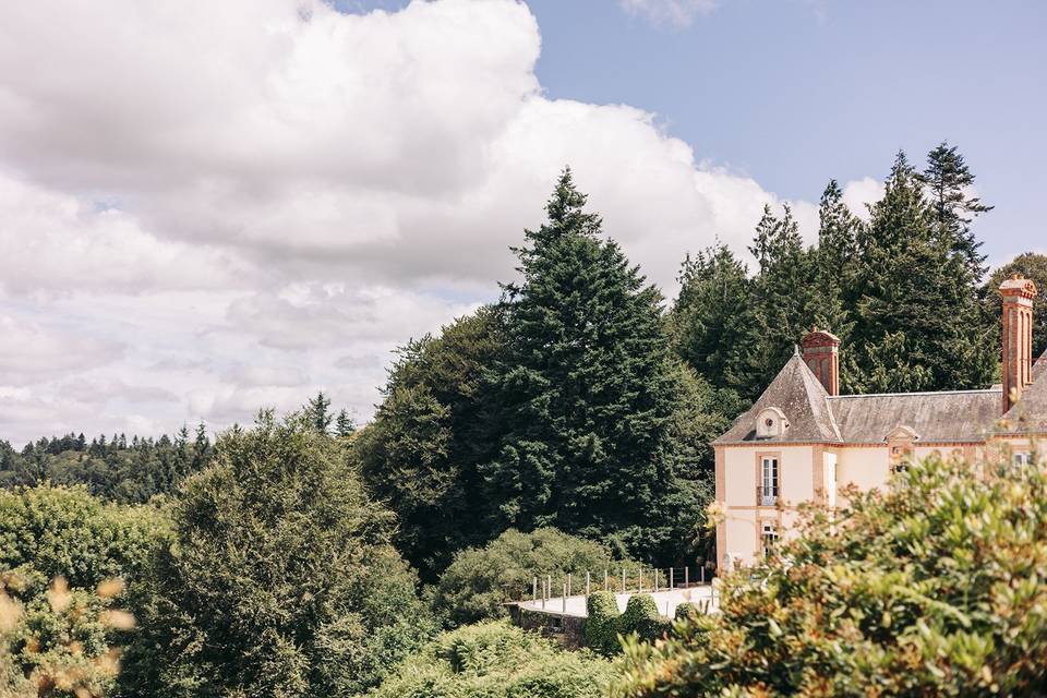 Sous les sapins