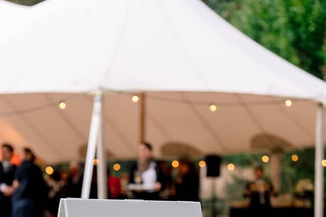 Mariage Blanc & vert