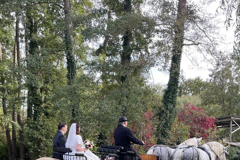 Moulin De Balines