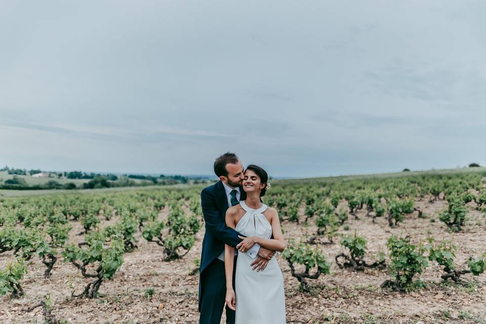 Au milieu des vignes