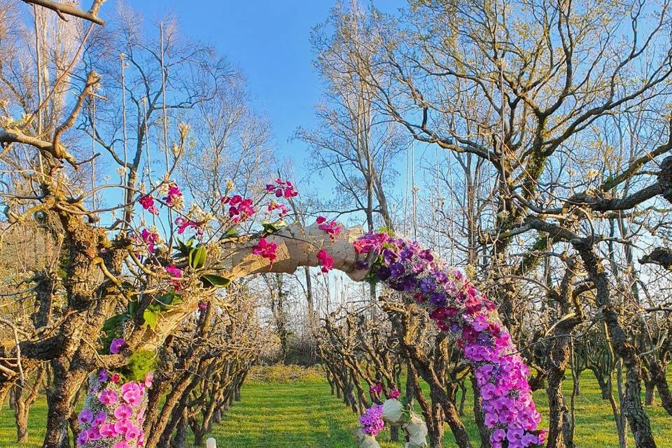 Les Fleurs d' Irène