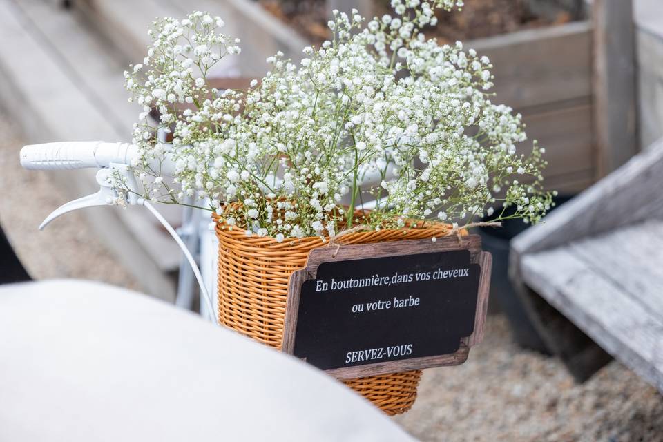 Fleurs vélo