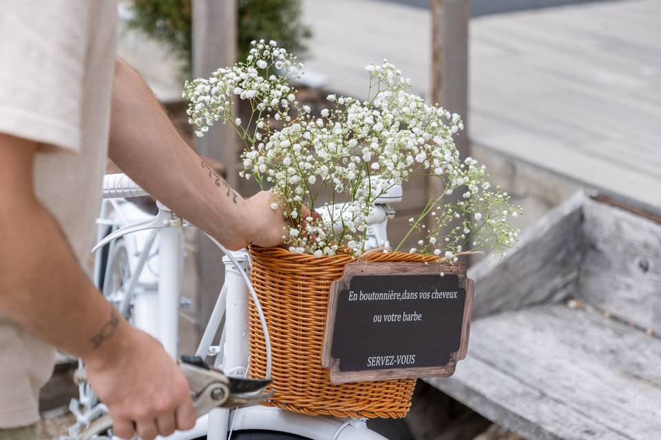 Panier vélo