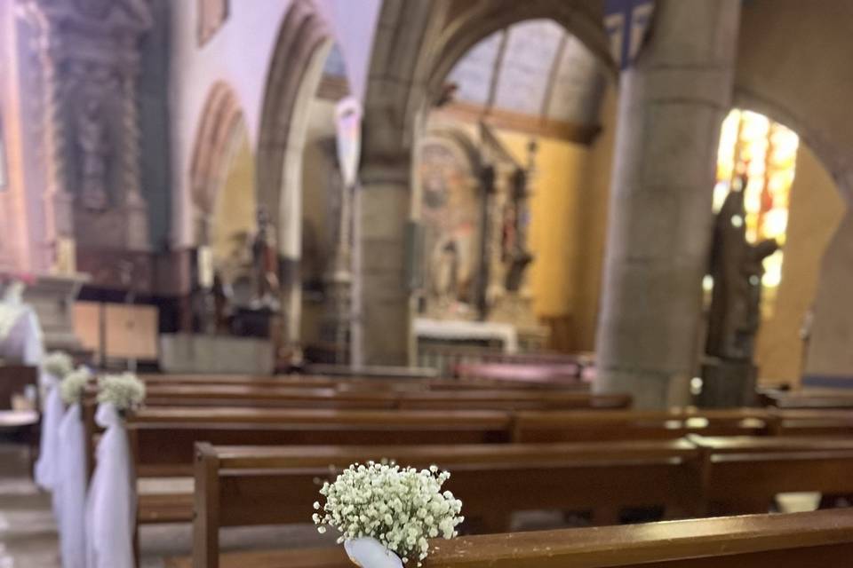 Gypsophile banc d'église