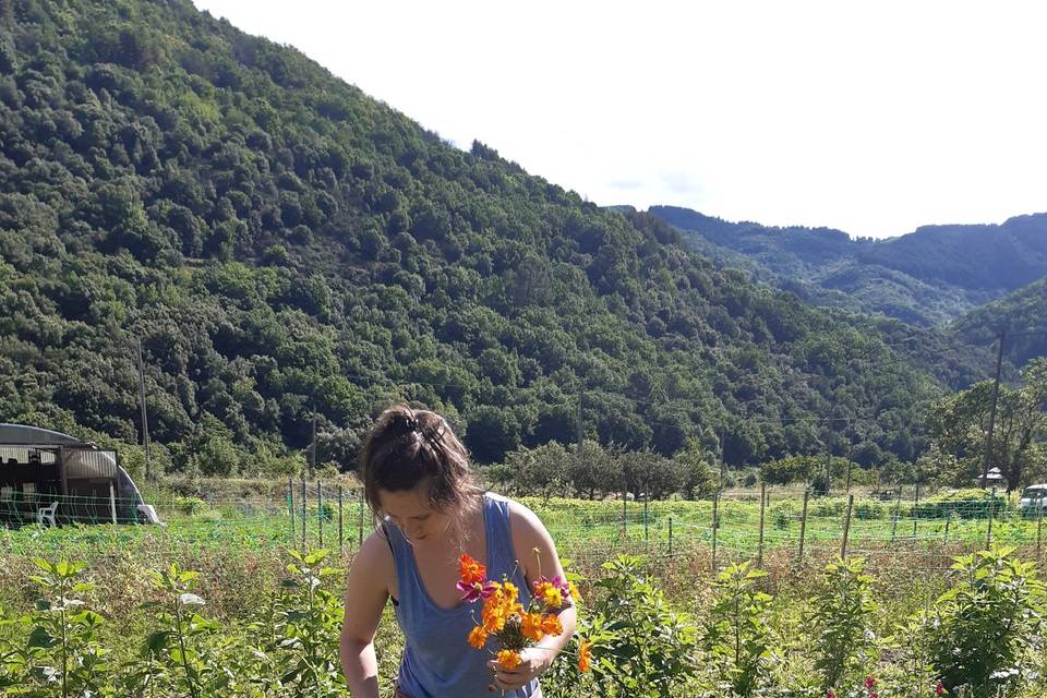 Fleurs locales mariage