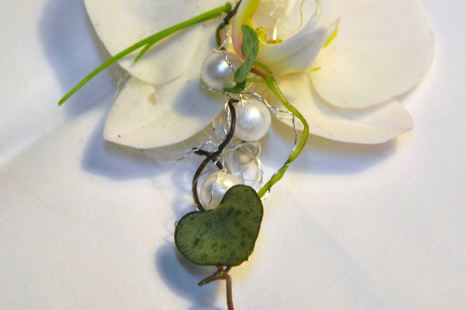 Boutonnière du Marié