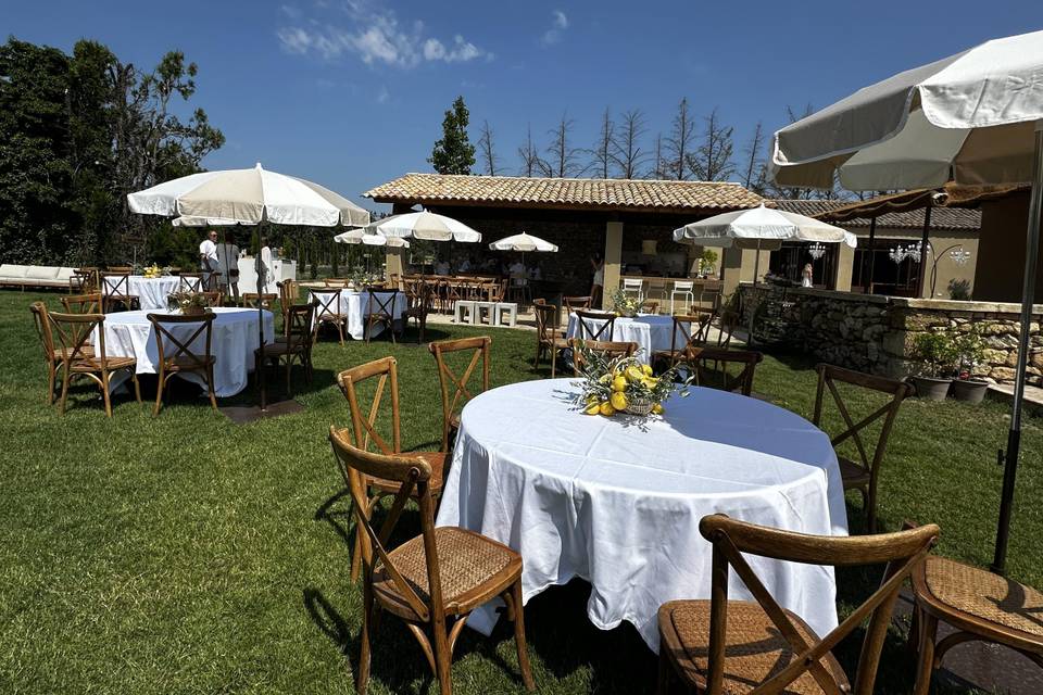 Table Brunch
