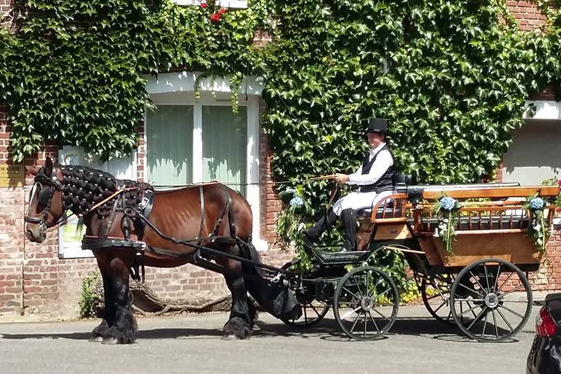 Passion calèche