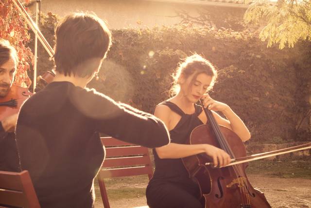 Fiddle Jazz Combo