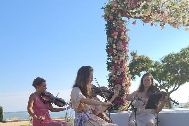 Groupe ceremonie laique