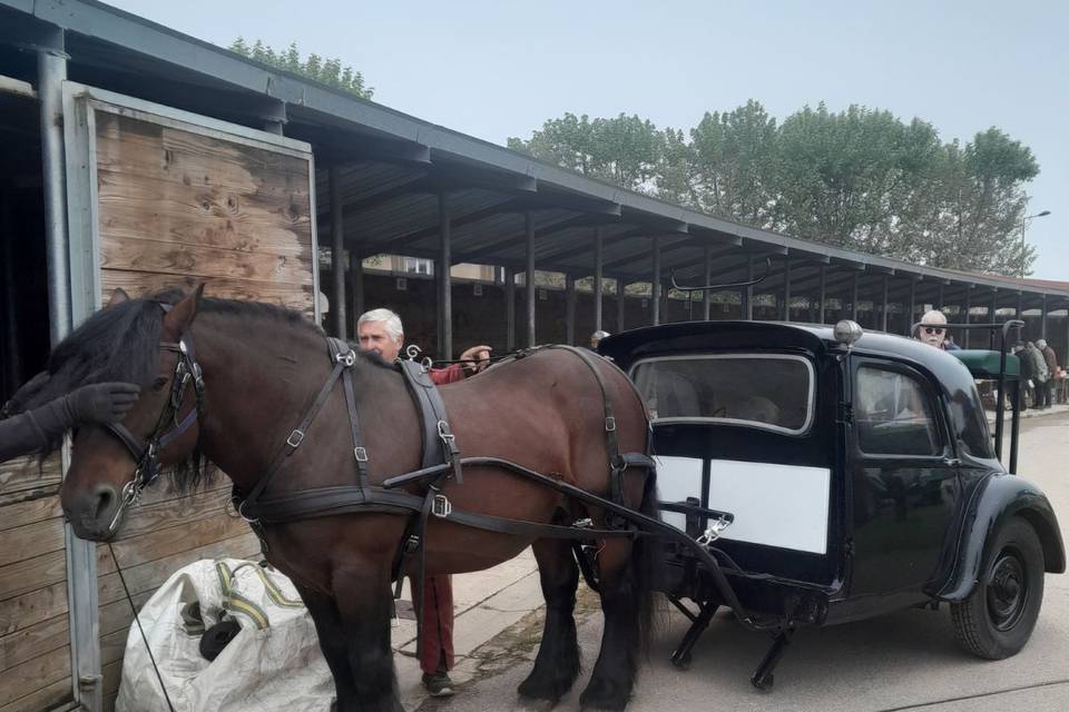 Caleche traction