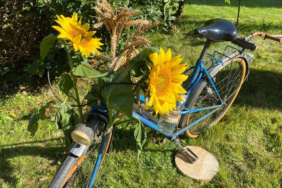 Vélo champêtre