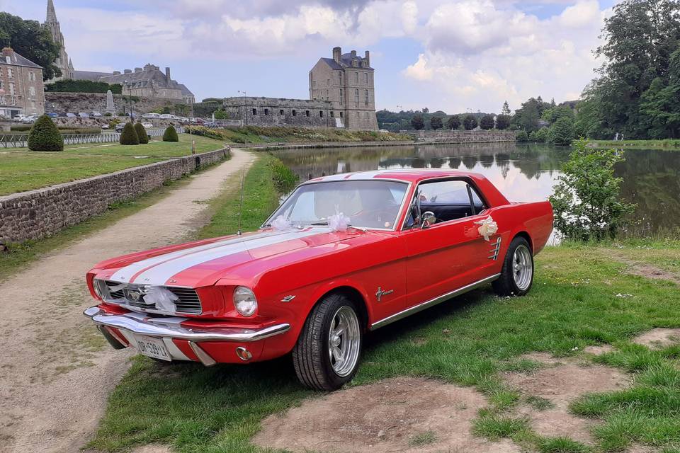 Mustang 66