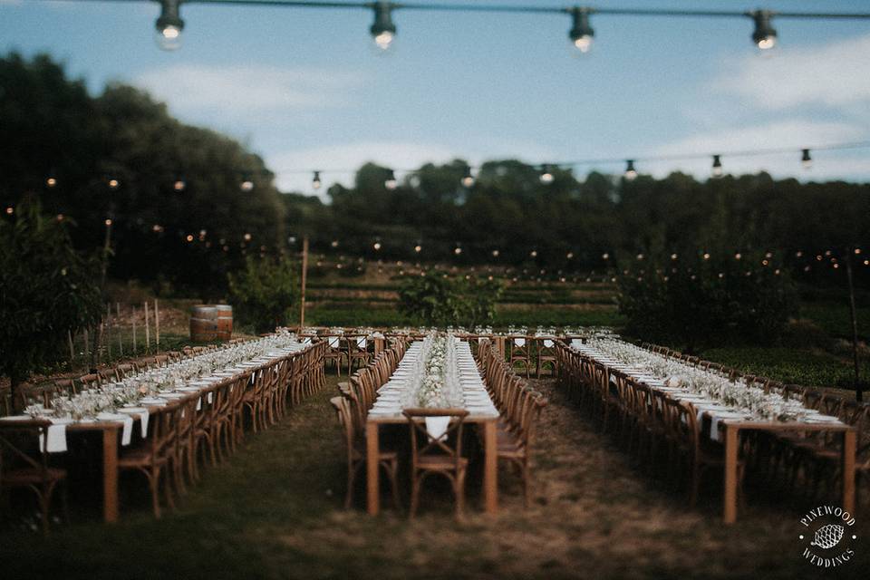 Diner en Extérieur