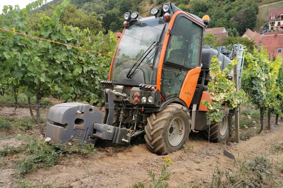 Domaine Freyder Anselm