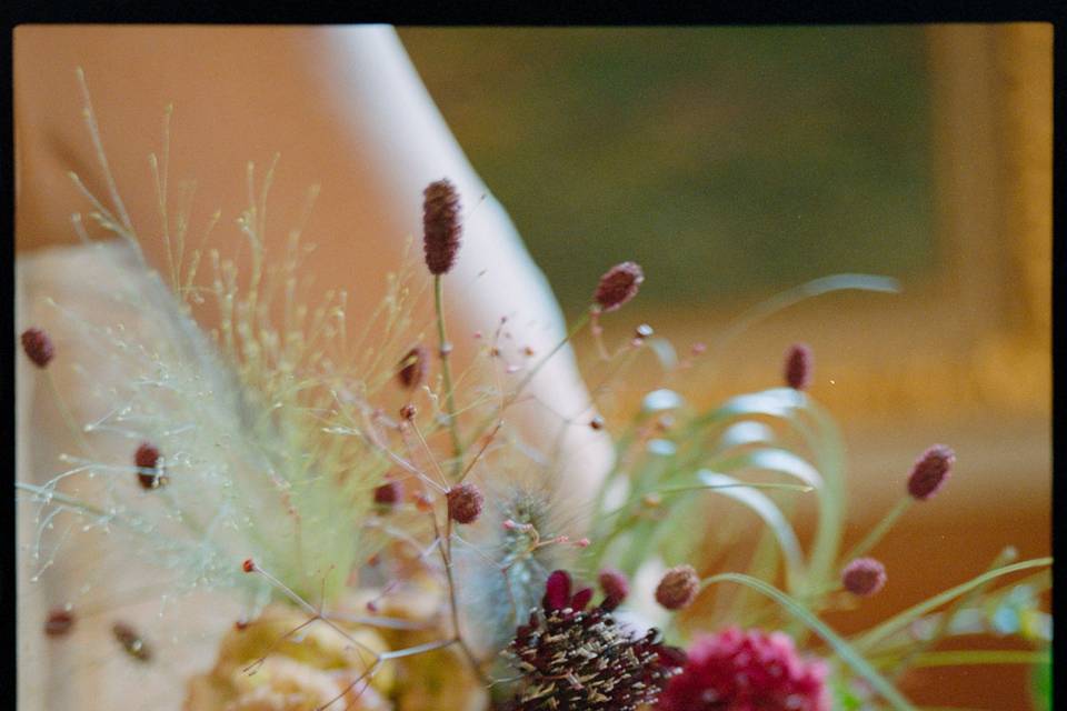 Pellicule argentique