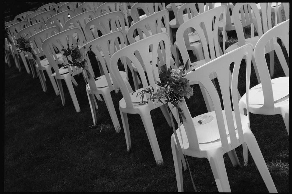 Pellicule argentique