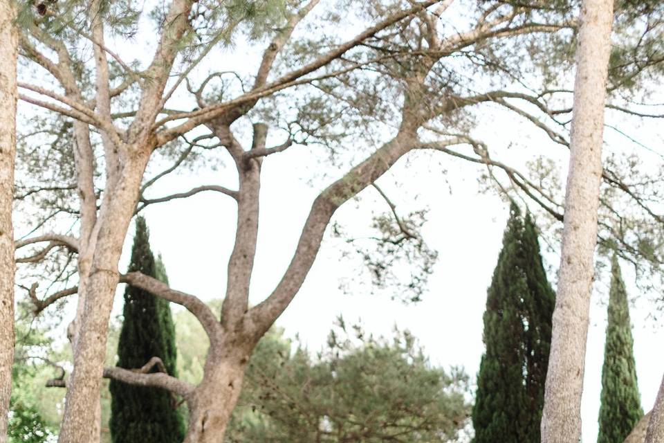 Mariage a Avignon