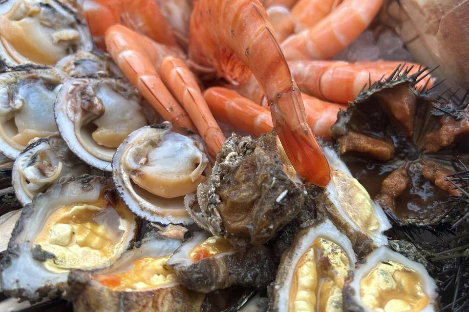 Coquillages