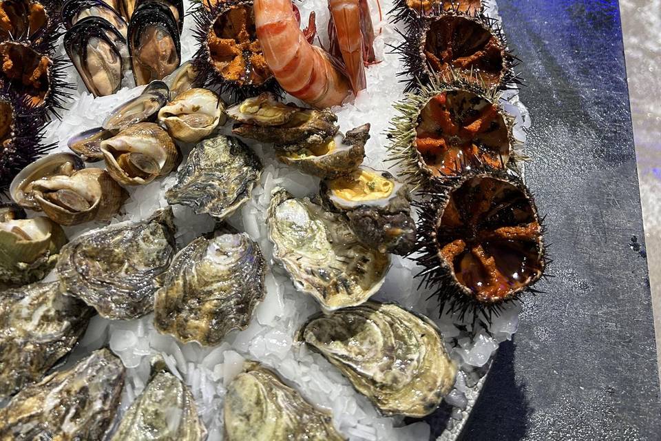 Coquillages