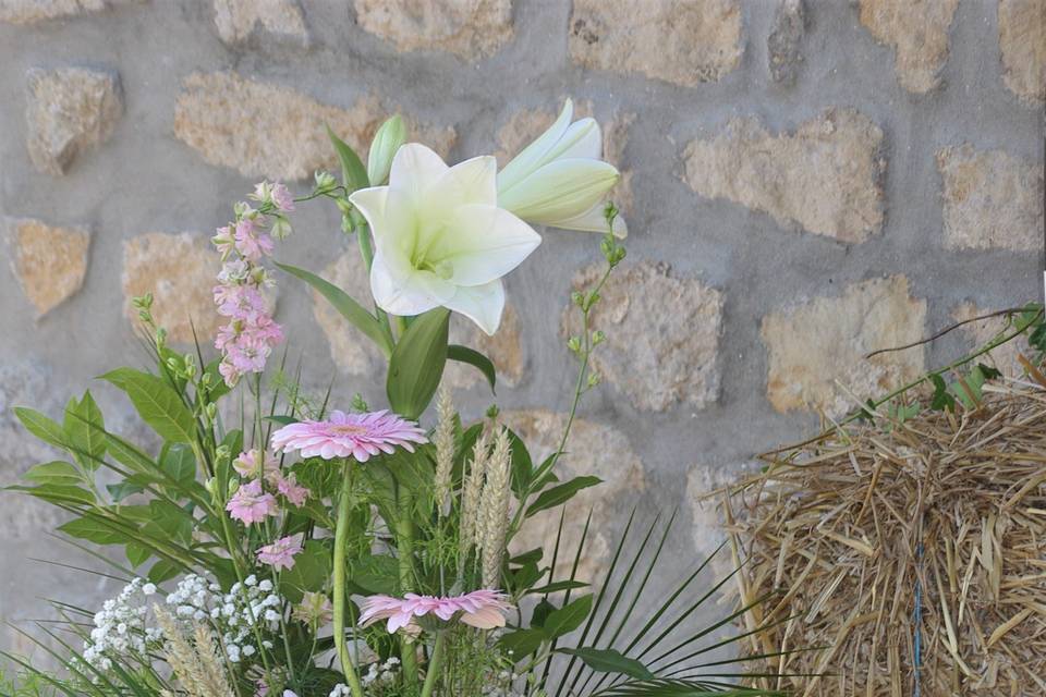 Pot à lait en location